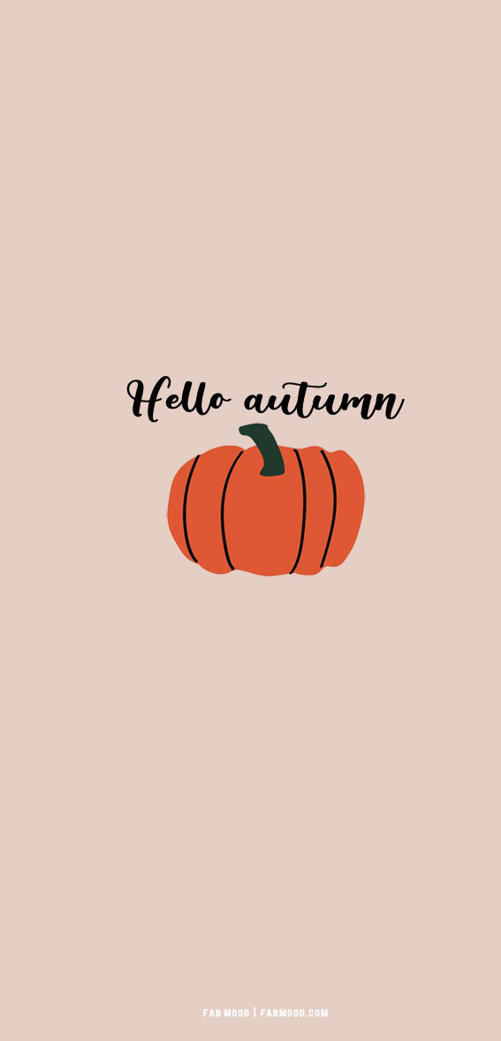 20 Cute Autumn Wallpaper Ideas : Pumpkin Hello Autumn