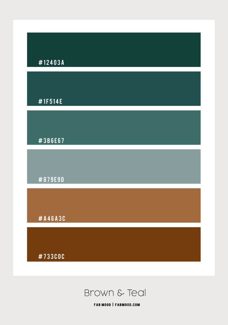 Brown and Teal Colour Combo – Colour Palette 170 1 - Fab Mood