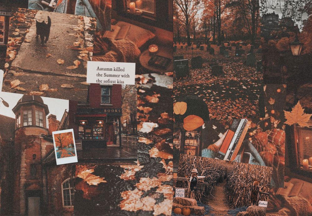 10 Autumn Collage Wallpaper Ideas for PC & Laptop : Misty Autumn