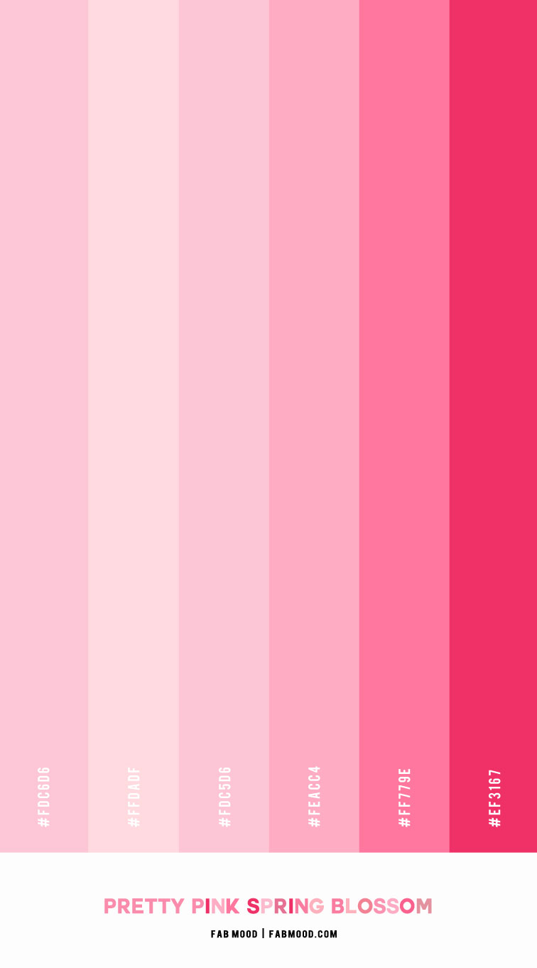 shades of pink, pink color combo, pink color palette, pretty in pink, pink color scheme