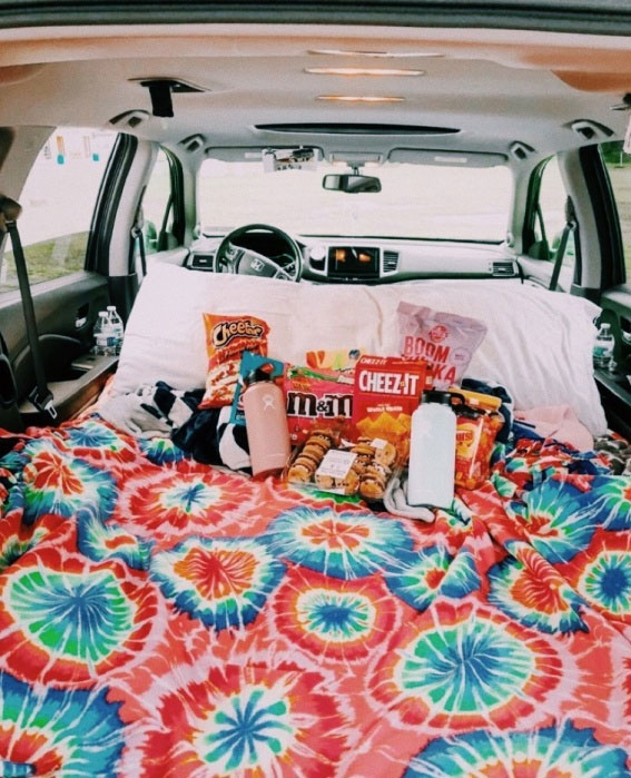 Captivating Moments in an Aesthetic Summer : Picnic in The Back of The Car