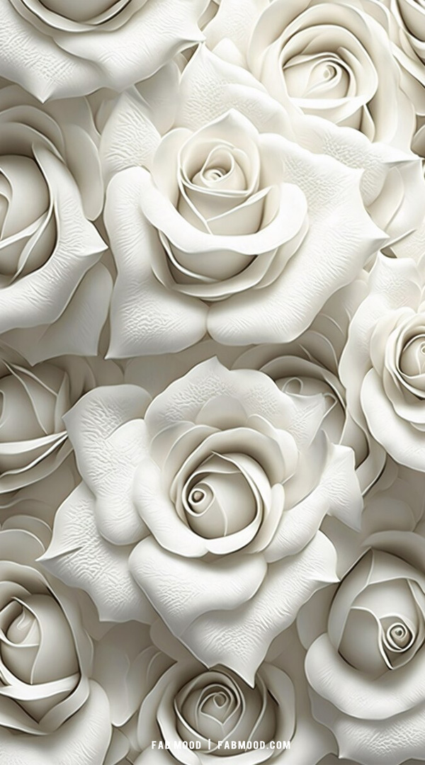 10 Flower Wallpaper Ideas for Phone & iPhone : White Rose 3D Wallpaper