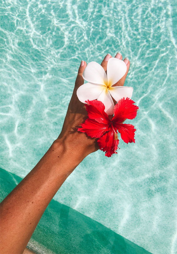Discovering the Essence of Aesthetic Summer : Hibiscus Flowers