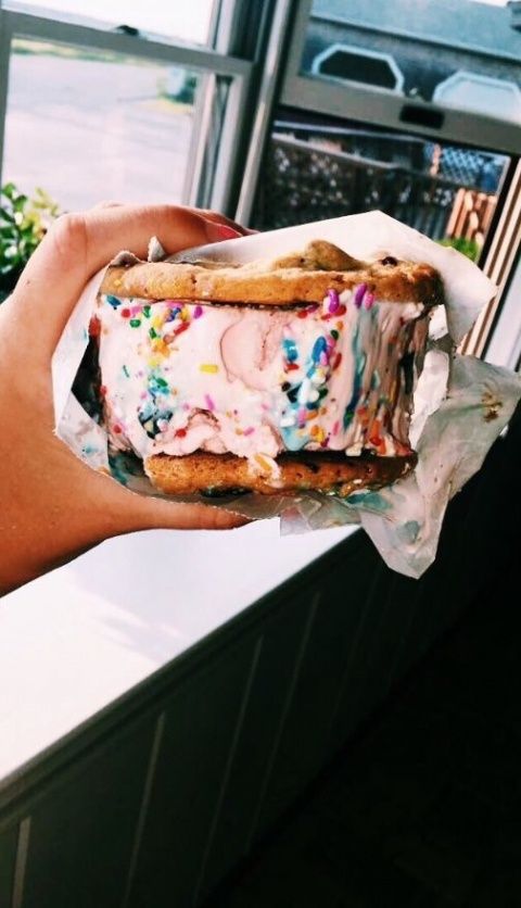 50+ Food Snapchat That Makes Your Mouth Watering : Large Ice Cream Sandwich