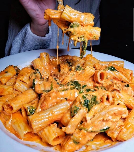 50 Pasta Aesthetic Dishes From An Elegant Dinner To A Cozy Meal : Rigatoni Fiorentina