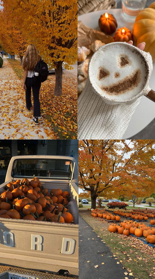 This is beautiful fall collage. Fall collage, autumn collage, fall collage for phone, fall collage for iPhone, Autumn collage ideas