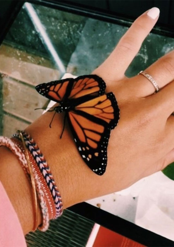 Sun-Kissed Summers Embracing the Aesthetics of a Radiant Season : Butterfly on Her Hand