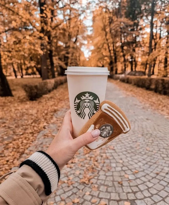 Capturing the Aesthetics of the Fall Season : Starbucks Biscuits