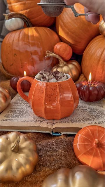 Capturing the Aesthetics of the Fall Season : Pumpkin Spice & Marshmallow