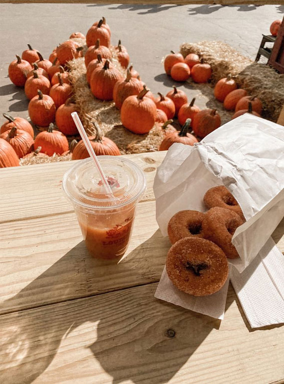 Capturing the Aesthetics of the Fall Season : Pumpkin Donut & Spice Iced Latte