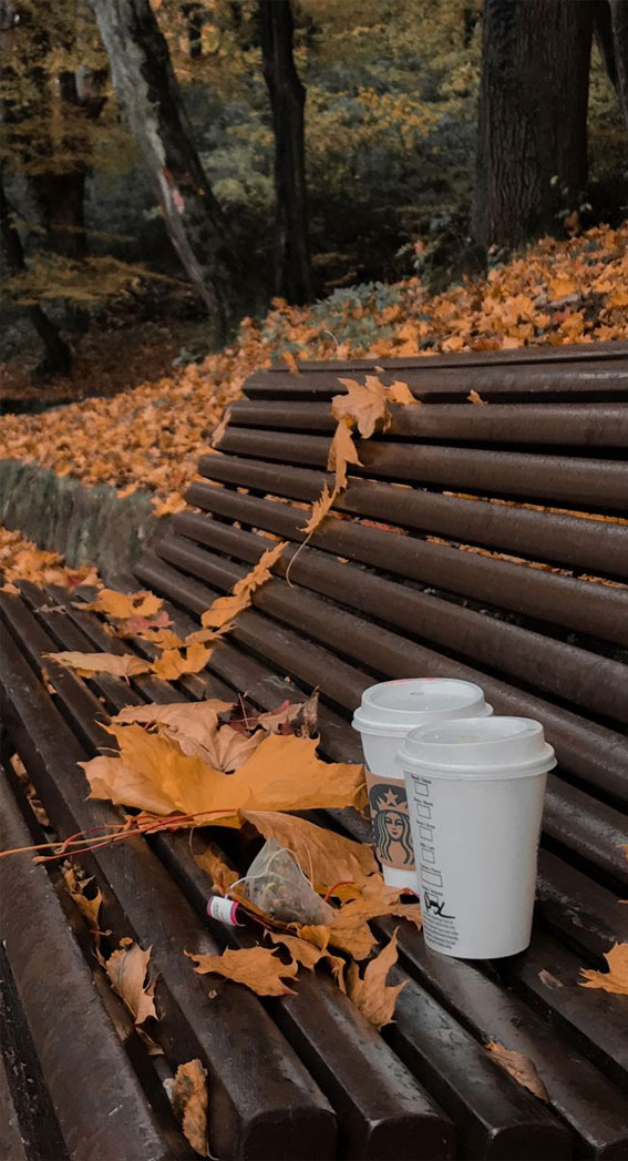 Capturing the Aesthetics of the Fall Season : Coffee in The Park