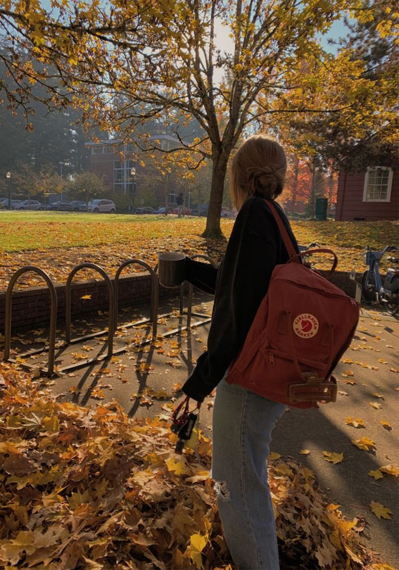 Capturing the Aesthetics of the Fall Season : College in Autumn