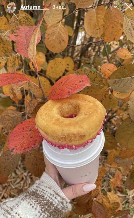 Capturing the Aesthetics of the Fall Season : Strawberry Icing Donut & Coffee