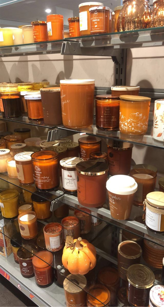 Capturing the Aesthetics of the Fall Season : Autumn Scented Candles
