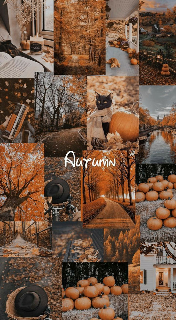 Harvest Harmony Collages of Autumn’s Beauty : The Essence of Fall