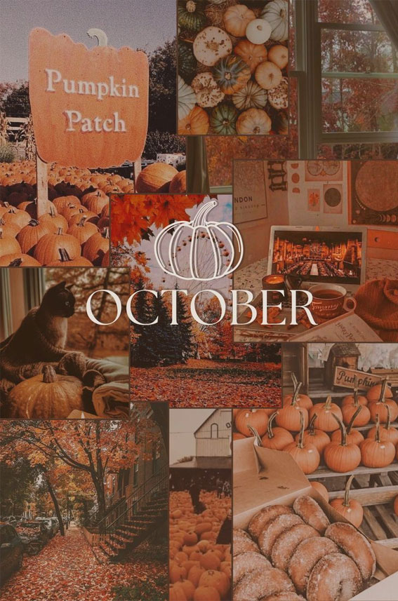 October Collage - This is the perfect fall wallpaper, Autumn Collage, Cozy fall, Fall wallpaper, Fall Collage Wallpaper, Fall Wallpaper iPhone 15, Autumn Collage Wallpaper for phone