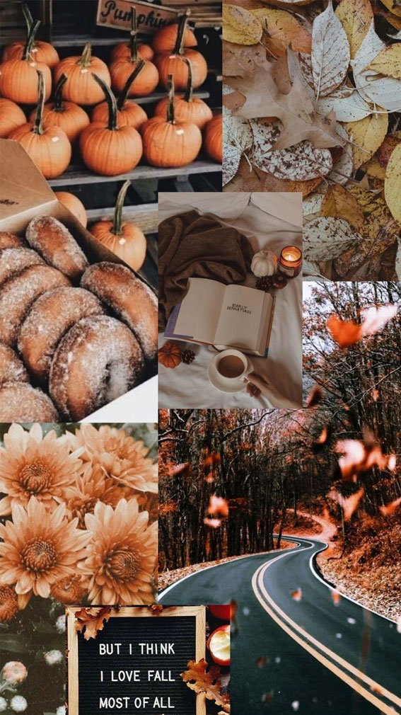 This is the perfect fall wallpaper, Autumn Collage, Cozy fall, Fall wallpaper, Fall Collage Wallpaper, Fall Wallpaper iPhone 15, Autumn Collage Wallpaper for phone