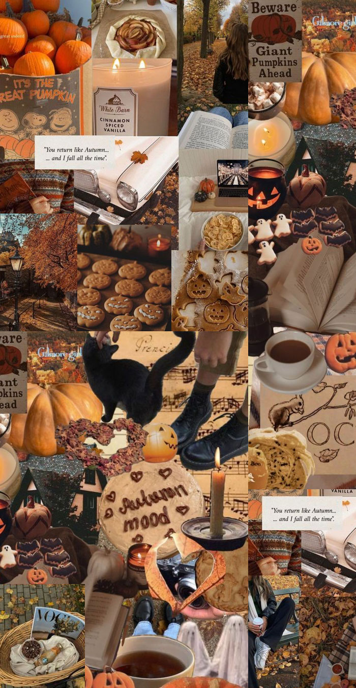 Harvest Harmony Collages of Autumn’s Beauty : All the Pumpkin Things