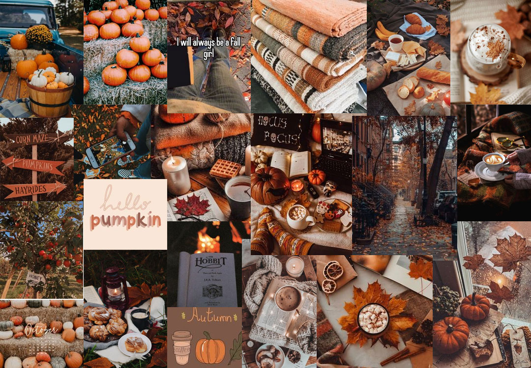 Harvest Harmony Collages of Autumn’s Beauty : Hello Pumpkin Collage for Desktop & Laptop