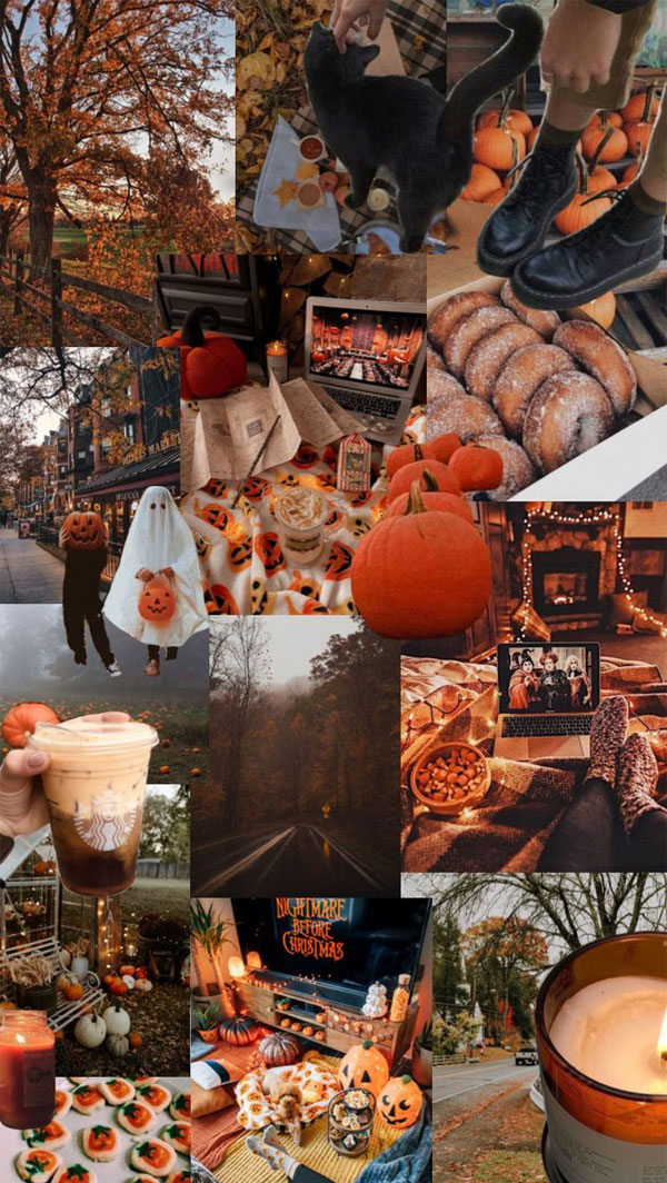 Harvest Harmony Collages of Autumn’s Beauty : Pumpkin Donut Fall Collage