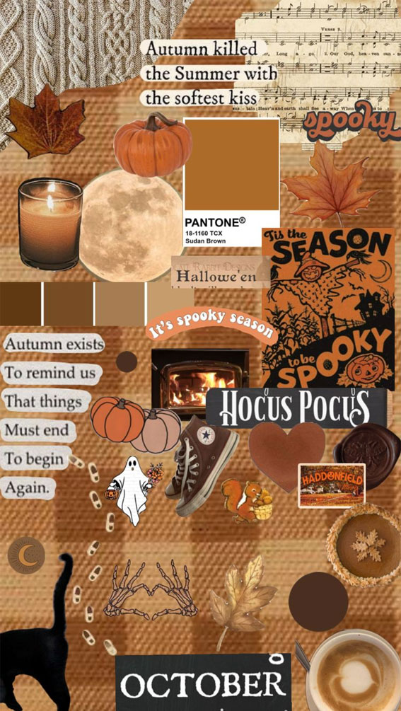 Harvest Harmony Collages of Autumn’s Beauty : Brown Fall Collage