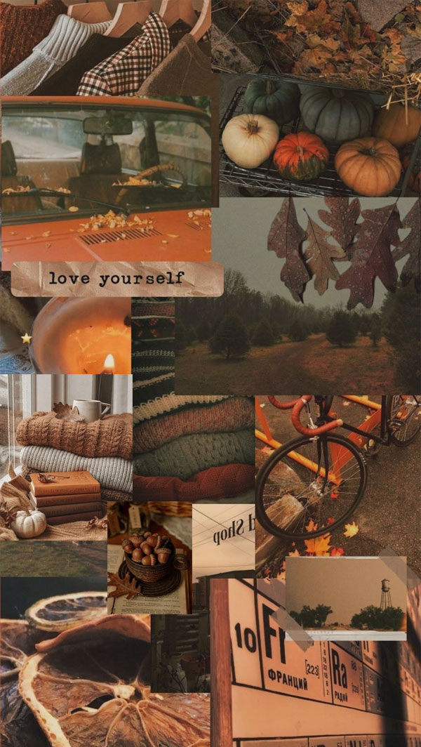 Harvest Harmony Collages of Autumn’s Beauty : Brown Sweater Fall Collage