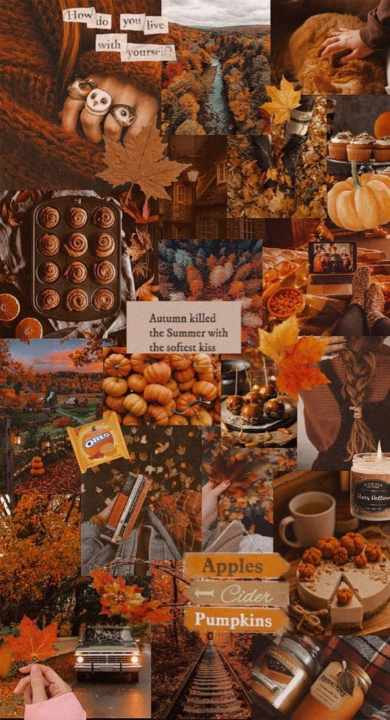Harvest Harmony Collages of Autumn’s Beauty : Apple Cider Collage for Phone