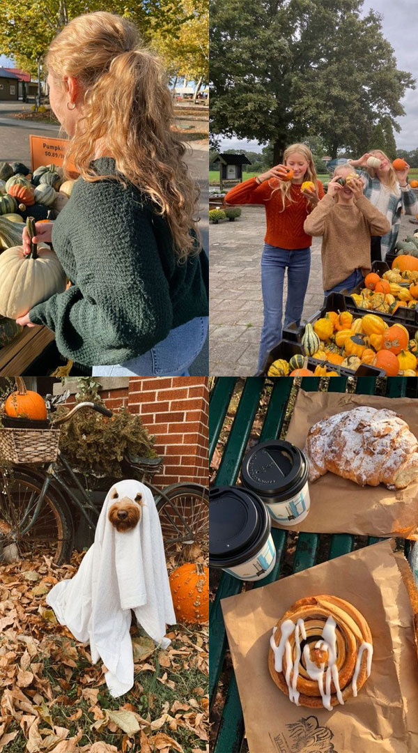 Collages of Fall’s Splendor : Pumpkin Harvest