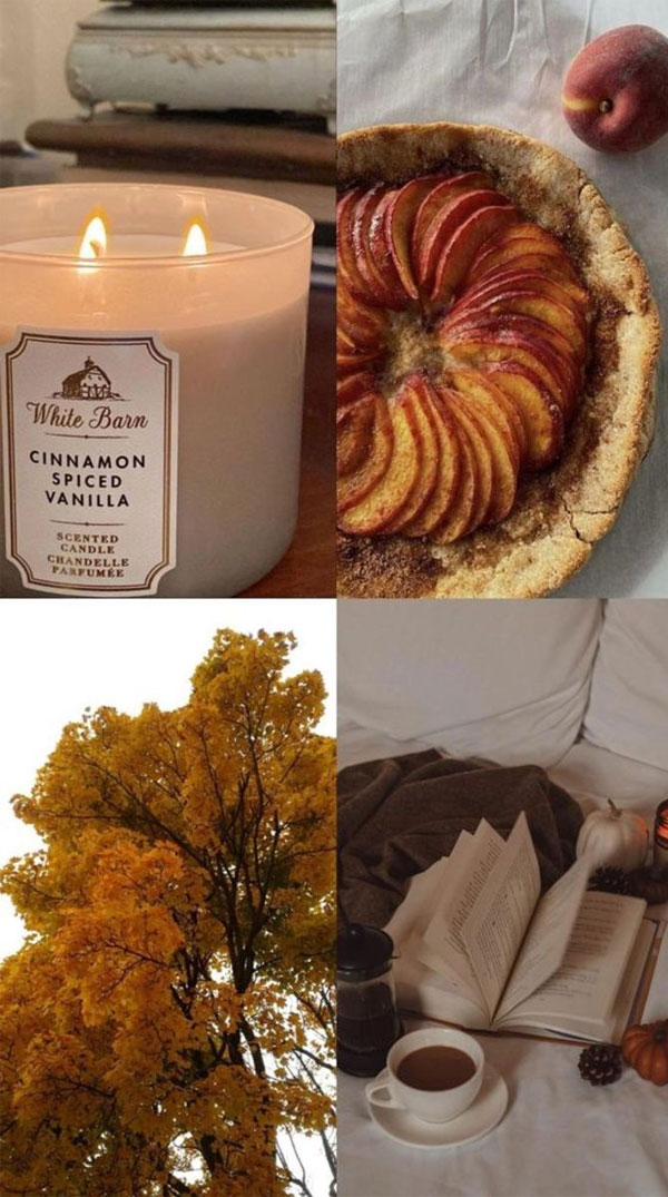 Collages of Fall’s Splendor : Cinnamon Spiced Vanilla & Apple Pie