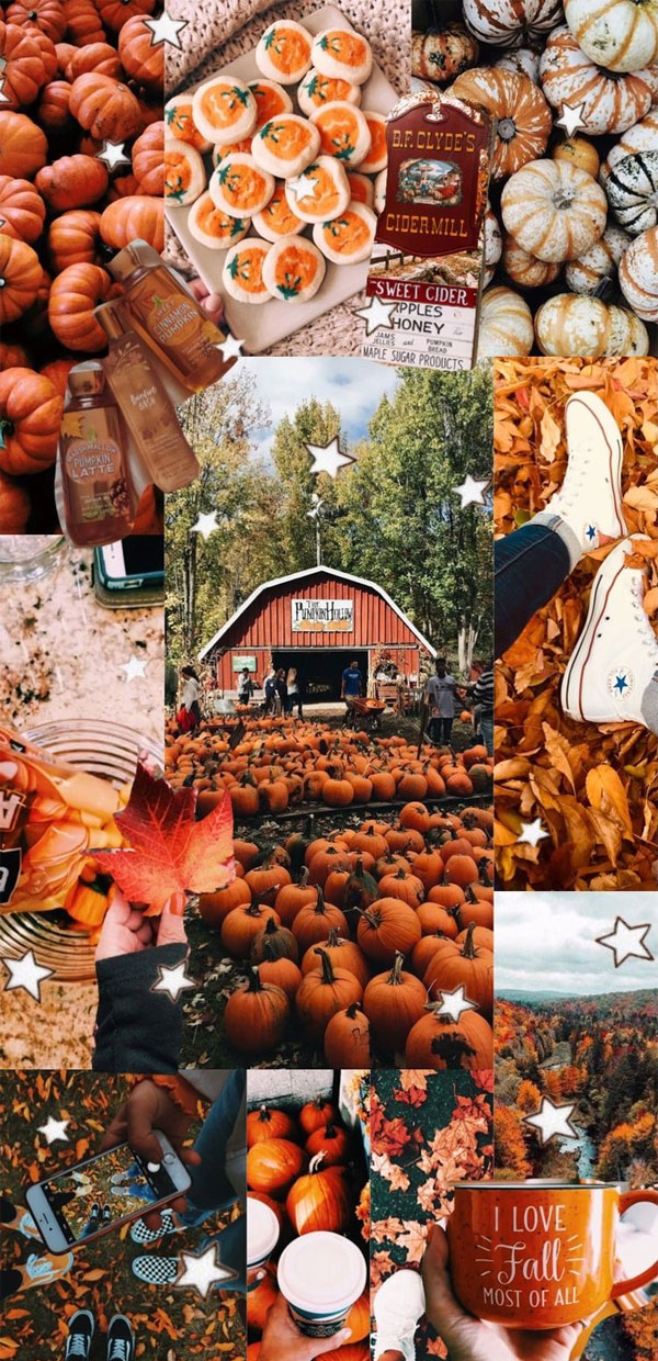 Harvest Harmony Collages of Autumn’s Beauty : I love fall most of all