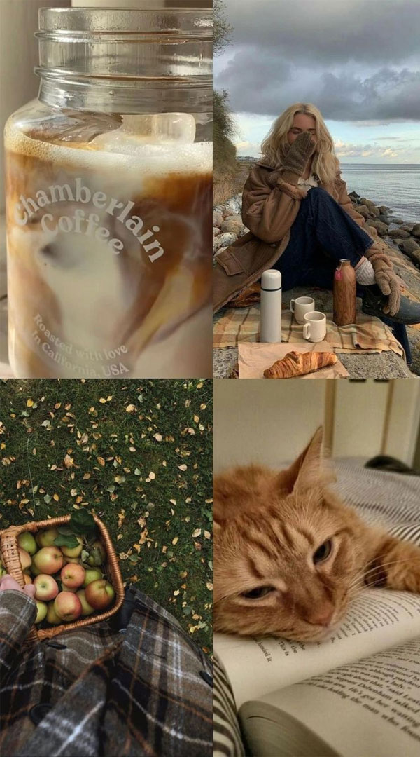 Collages of Fall’s Splendor : Chamberlain Coffee
