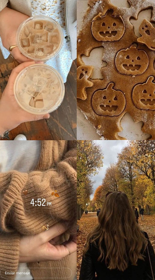 Collages of Fall’s Splendor : Iced Coffee + Pumpkin Cookies