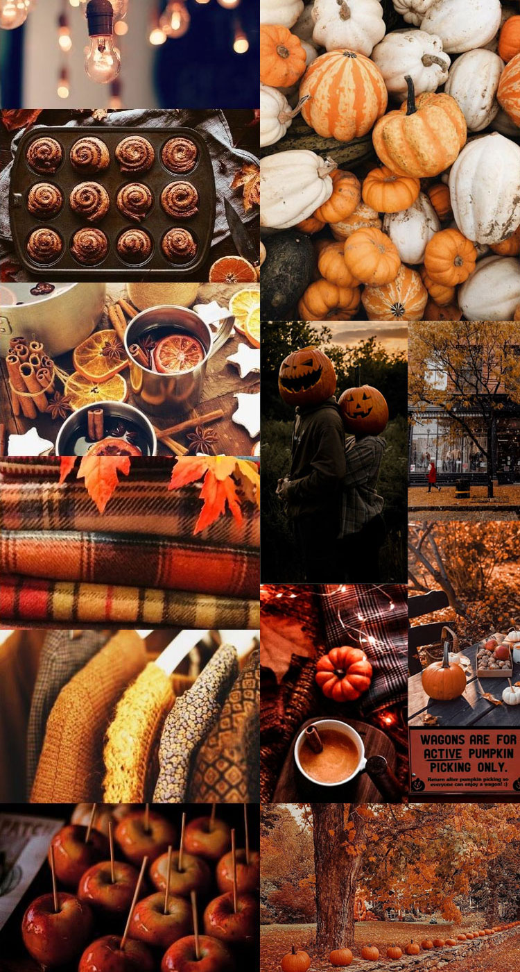 Harvest Harmony Collages of Autumn’s Beauty : Seasonal Delicacies