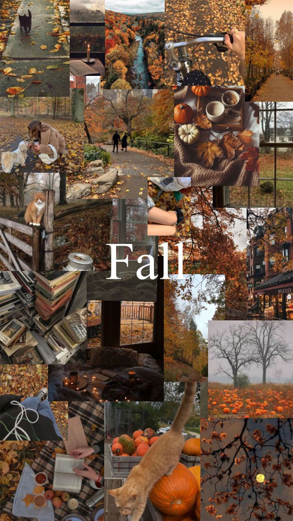 Harvest Harmony Collages of Autumn’s Beauty : Seasonal Hues