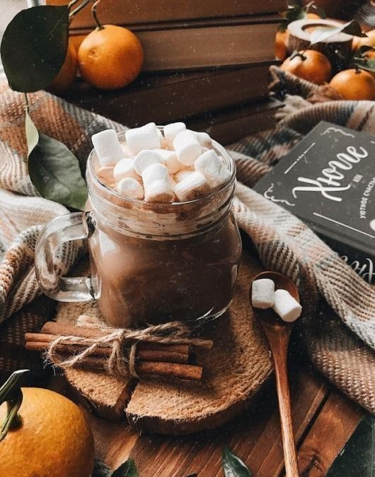 Capturing the Aesthetics of the Fall Season : Marshmallow Topped up Hot Chocolate