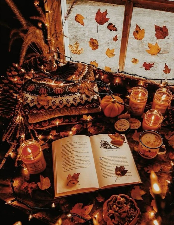 Capturing the Aesthetics of the Fall Season : Autumn Cozy Beauty
