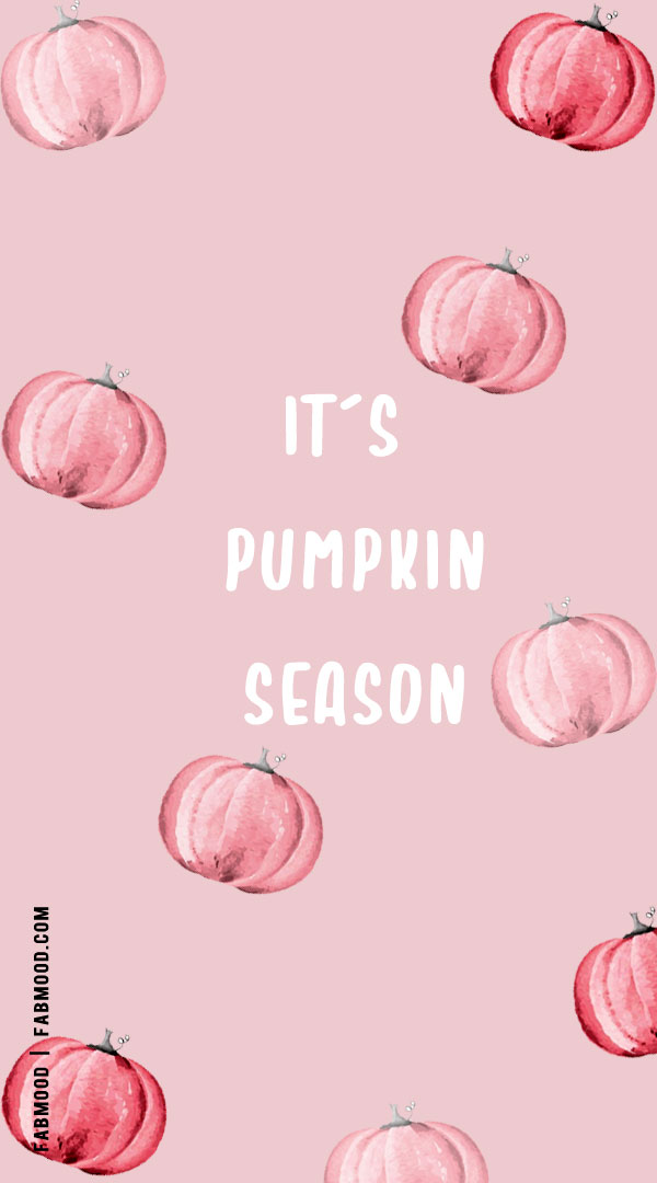 Cute Fall Wallpaper Ideas to Brighten Up Your Devices : It’s Pumpkin Season Wallpaper