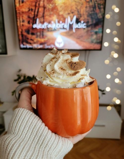 50 Visual Journeys Through Fall’s Aesthetics : A Cup of Delight Hot Chocolate