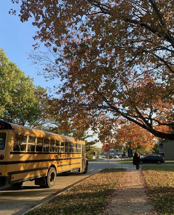 50 Visual Journeys Through Fall’s Aesthetics : A Yellow School Bus