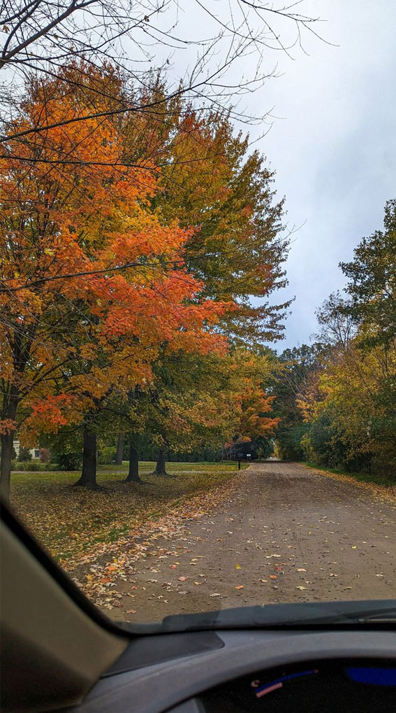 50 Visual Journeys Through Fall’s Aesthetics : Gorgeous Fall Season