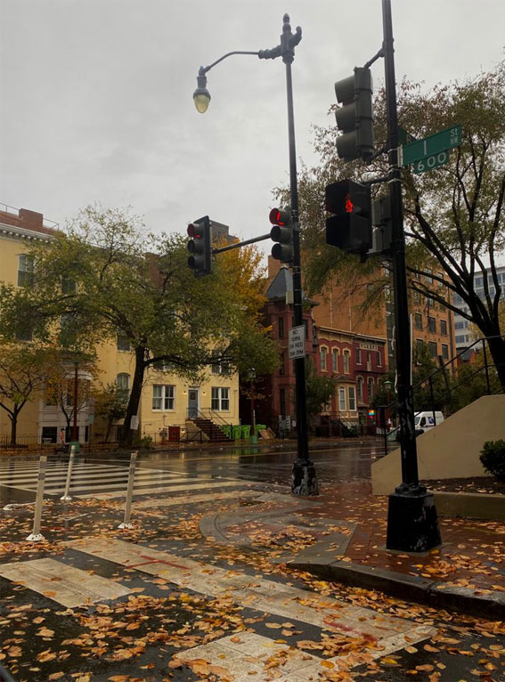 50 Visual Journeys Through Fall’s Aesthetics : Washington DC Downtown Aesthetic