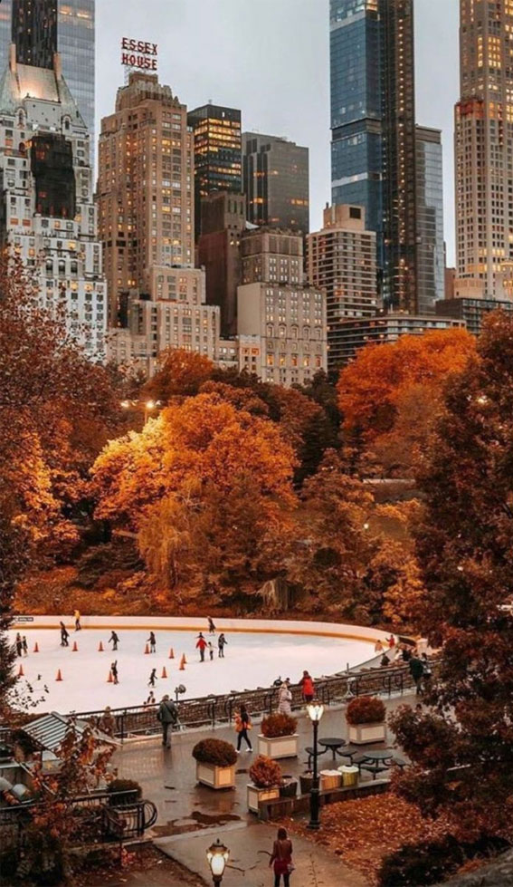 50 Visual Journeys Through Fall’s Aesthetics : Outdoor Ice Link in Central Park