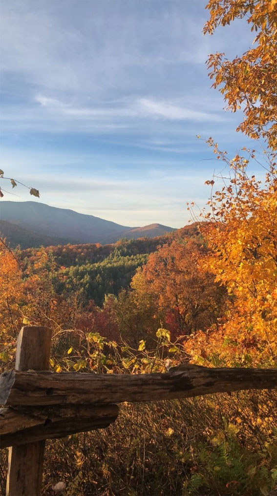 50 Visual Journeys Through Fall’s Aesthetics : Gorgeous Fall View