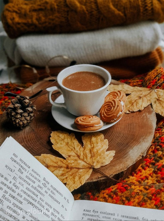 50 Visual Journeys Through Fall’s Aesthetics : A cup of Delightful & Sandwich Biscuits