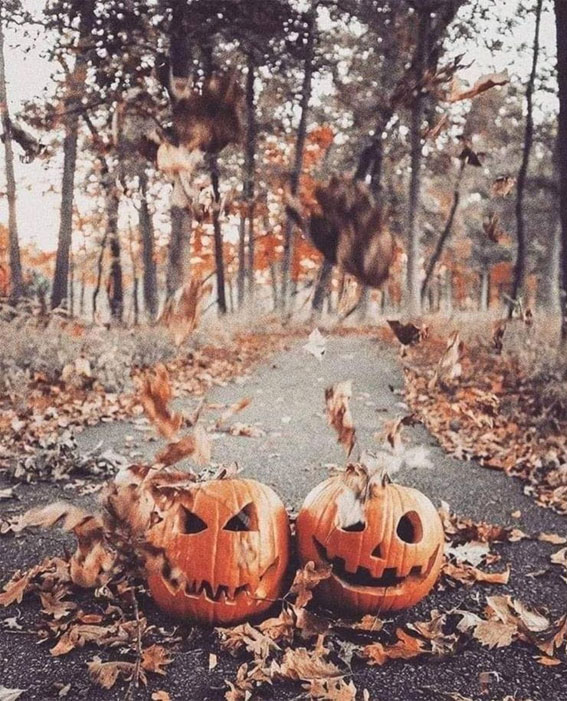 50 Visual Journeys Through Fall’s Aesthetics : Carved Pumpkins & Fall Crisp Leaves