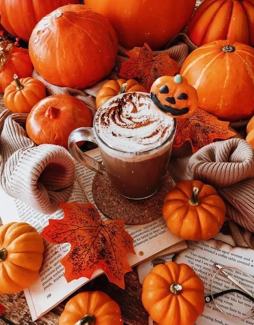 50 Visual Journeys Through Fall’s Aesthetics : Hot Chocolate Topped with Whipped Cream