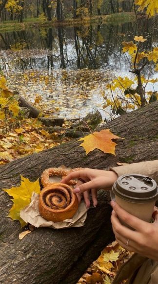 50 Visual Journeys Through Fall’s Aesthetics : Cinnamon Roll + Pretzel ...