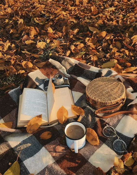 50 Visual Journeys Through Fall’s Aesthetics : Fall Picnic, Plaid Blanket & Crisp Leaves