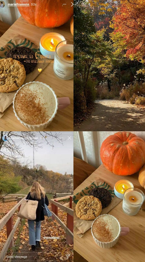 40 Autumn Collage Ideas Patchwork of Fall’s Beauty : Country Walk & Pumpkin