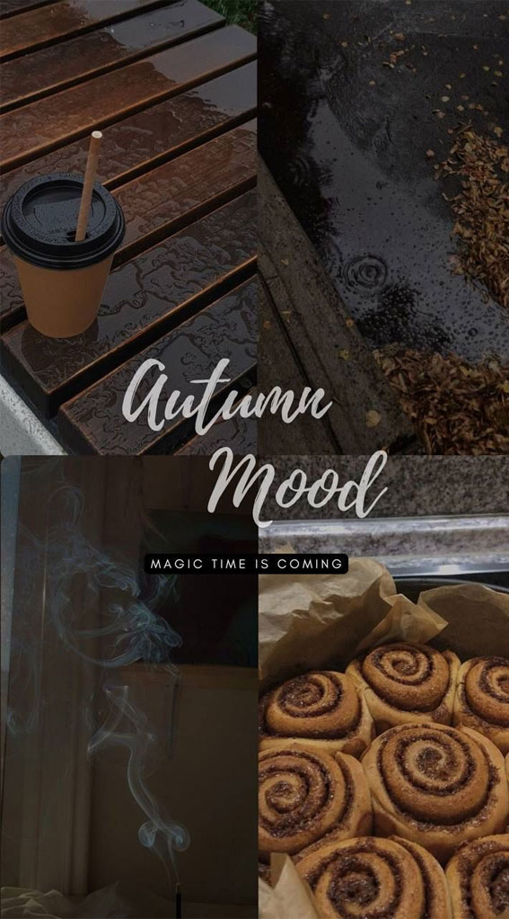 40 Autumn Collage Ideas Patchwork of Fall’s Beauty : Autumn Mood